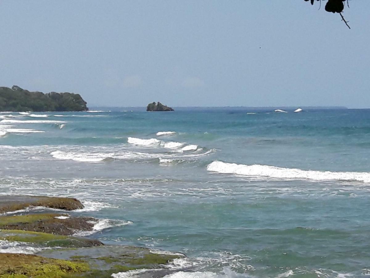 Hotel Casa Conley Del Mar Puerto Viejo de Talamanca 외부 사진