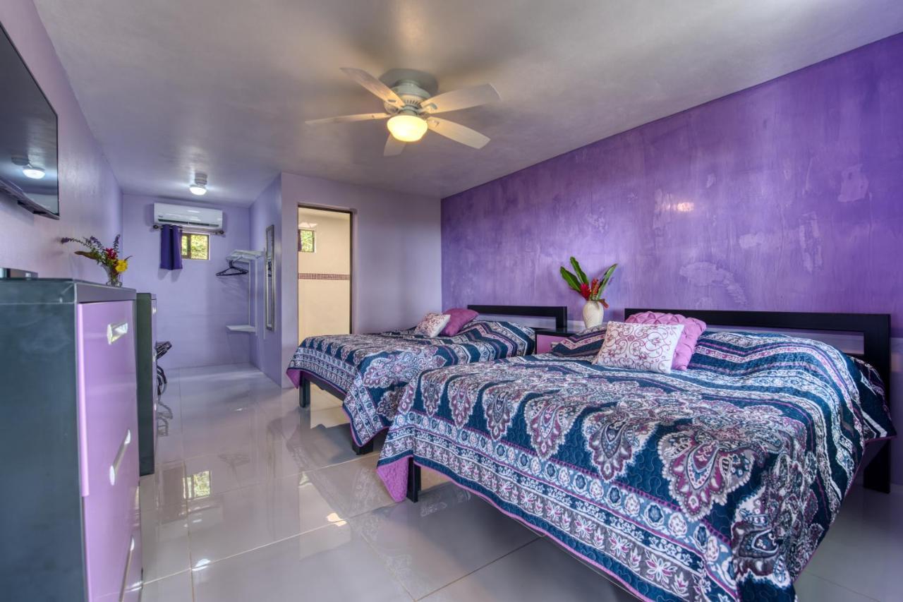 Hotel Casa Conley Del Mar Puerto Viejo de Talamanca 외부 사진