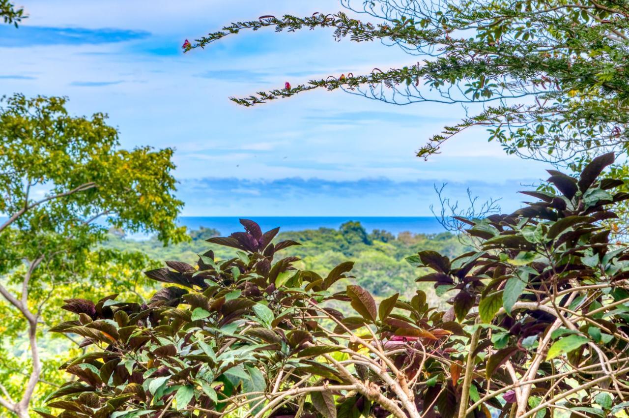 Hotel Casa Conley Del Mar Puerto Viejo de Talamanca 외부 사진