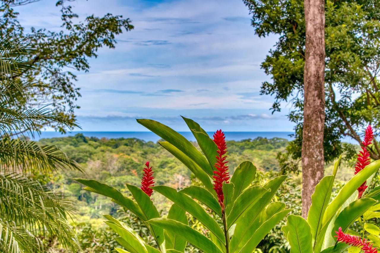 Hotel Casa Conley Del Mar Puerto Viejo de Talamanca 외부 사진