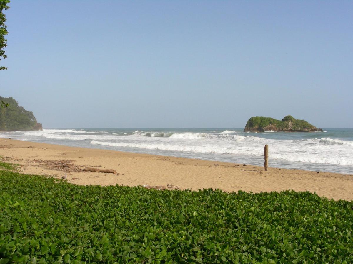 Hotel Casa Conley Del Mar Puerto Viejo de Talamanca 외부 사진